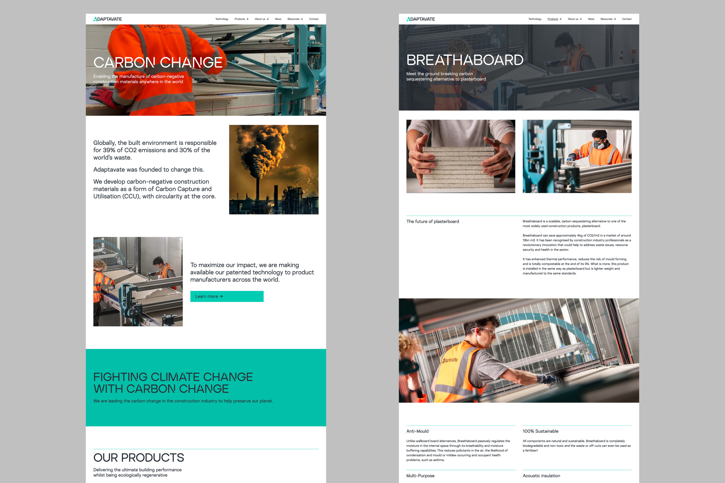 Website homepage and product page